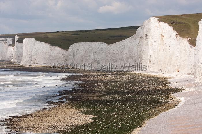 Birling Gap.jpg - Chalk Cliffs at Birling Gap, East Sussex at mid-tide